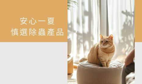 夏天防蟲小貼士-養貓要小心避開的除蟲地雷